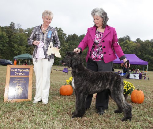 Jerry Lee Saturday BOS Sweeps CAHC.jpg - 64.96 K